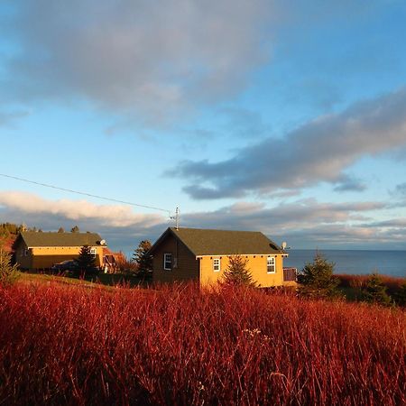 Les Chalets Brise-De-Mer Sainte-Therese-de-Gaspe Exterior foto