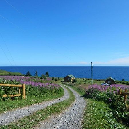 Les Chalets Brise-De-Mer Sainte-Therese-de-Gaspe Exterior foto