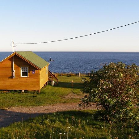 Les Chalets Brise-De-Mer Sainte-Therese-de-Gaspe Exterior foto