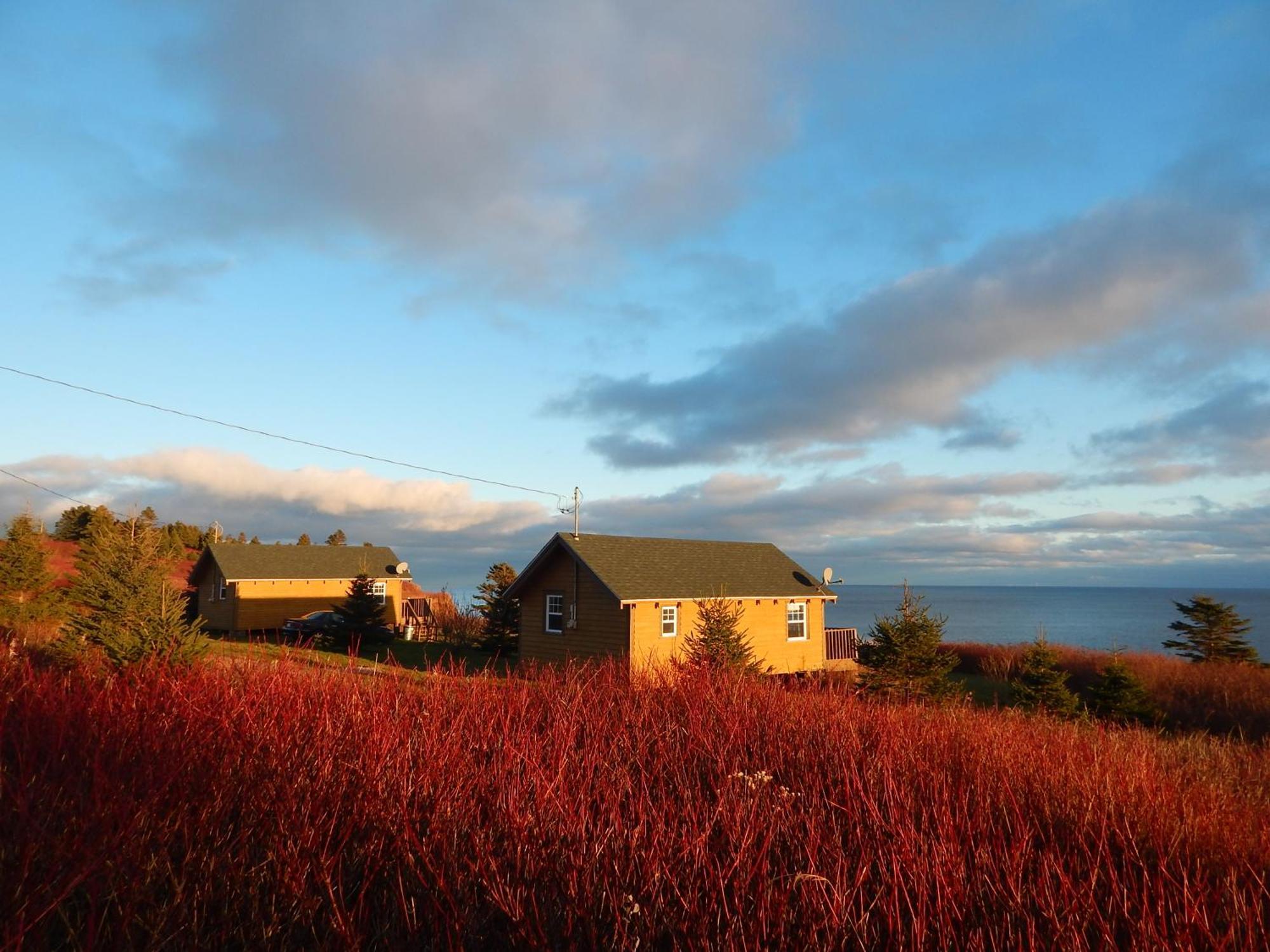 Les Chalets Brise-De-Mer Sainte-Therese-de-Gaspe Exterior foto