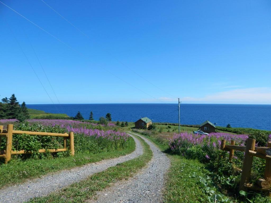 Les Chalets Brise-De-Mer Sainte-Therese-de-Gaspe Exterior foto