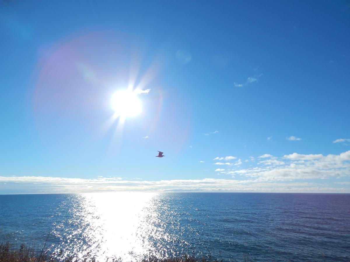 Les Chalets Brise-De-Mer Sainte-Therese-de-Gaspe Exterior foto